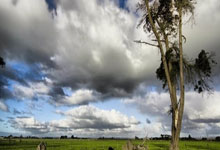 河南队客场逆转胜利，士气高昂