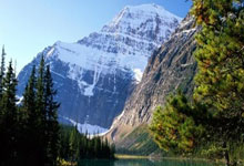 双方交手，实力对比引发猜想悬念——一场看得见的角逐